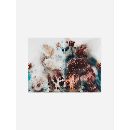 Cai Guo-Qiang, Yin-Yang Peonies, 2019