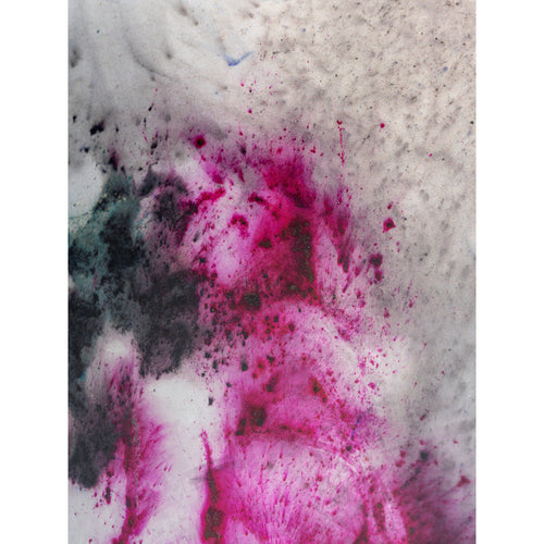 Detail of Cai Guo-Qiang, Snow Lotus No. 1