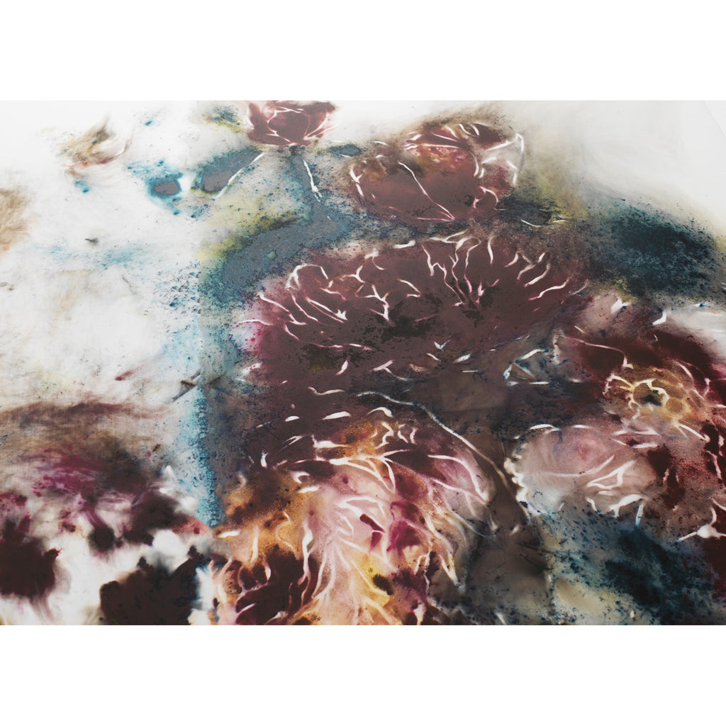 Detail of Cai Guo-Qiang, Yin-Yang Peonies