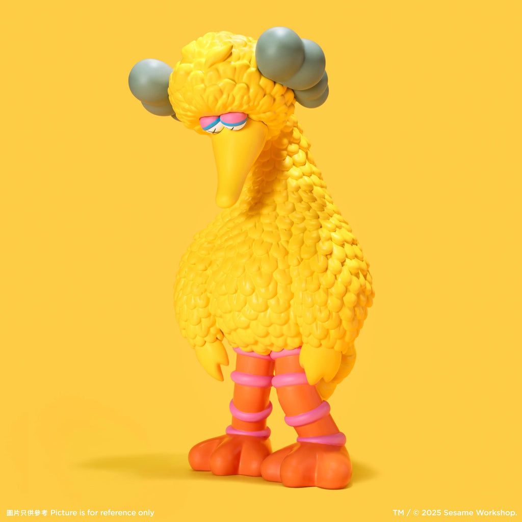 Detail of KAWS, Big Bird