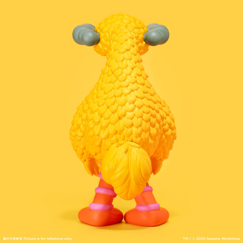 Detail of KAWS, Big Bird