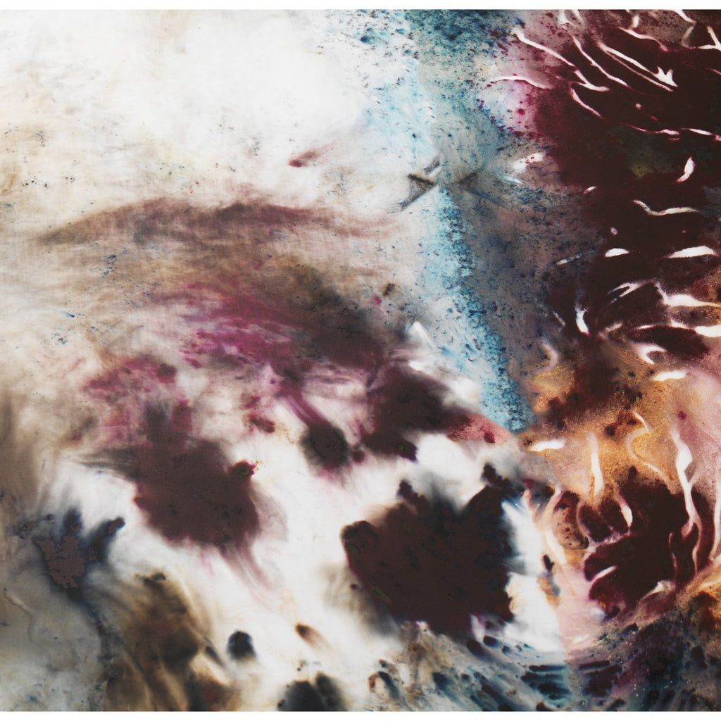 Detail of Cai Guo-Qiang, Yin-Yang Peonies