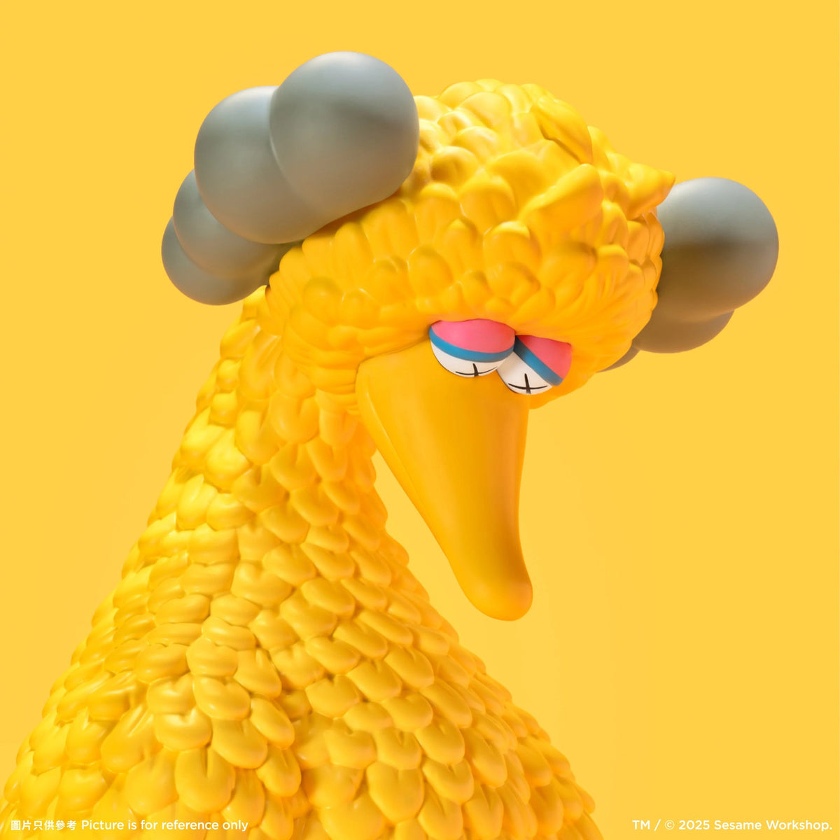Detail of KAWS, Big Bird