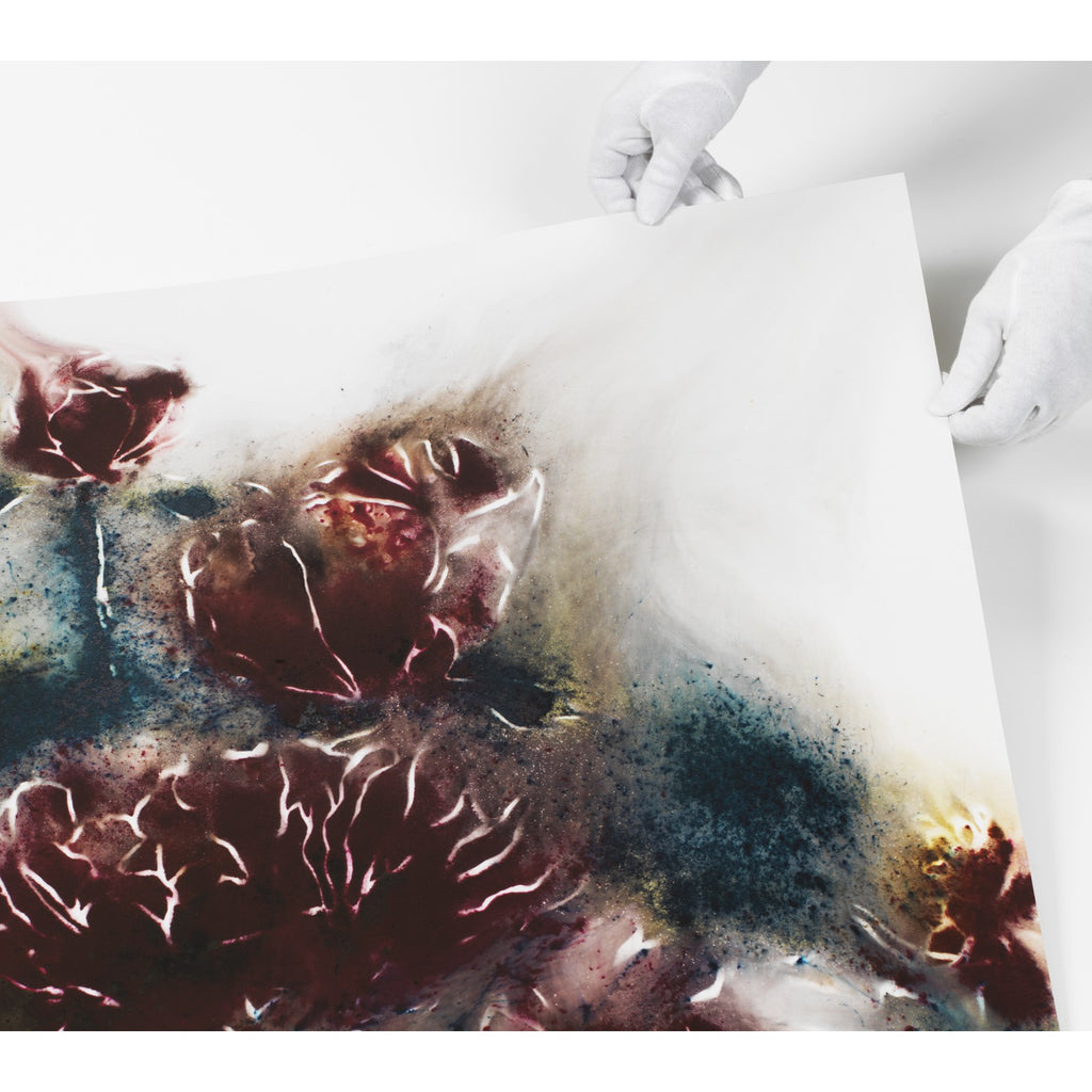 Detail of Cai Guo-Qiang, Yin-Yang Peonies