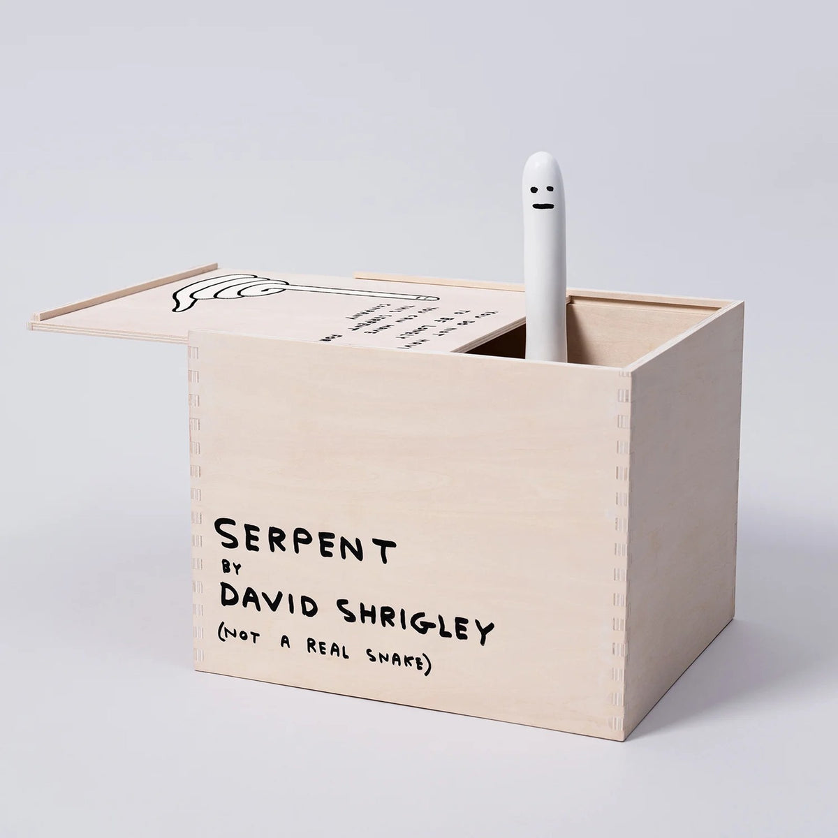 Detail of David Shrigley, SERPENT
